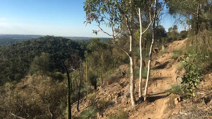 Anstey Hill Recreation Park